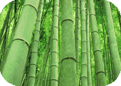 Одеяла бамбук